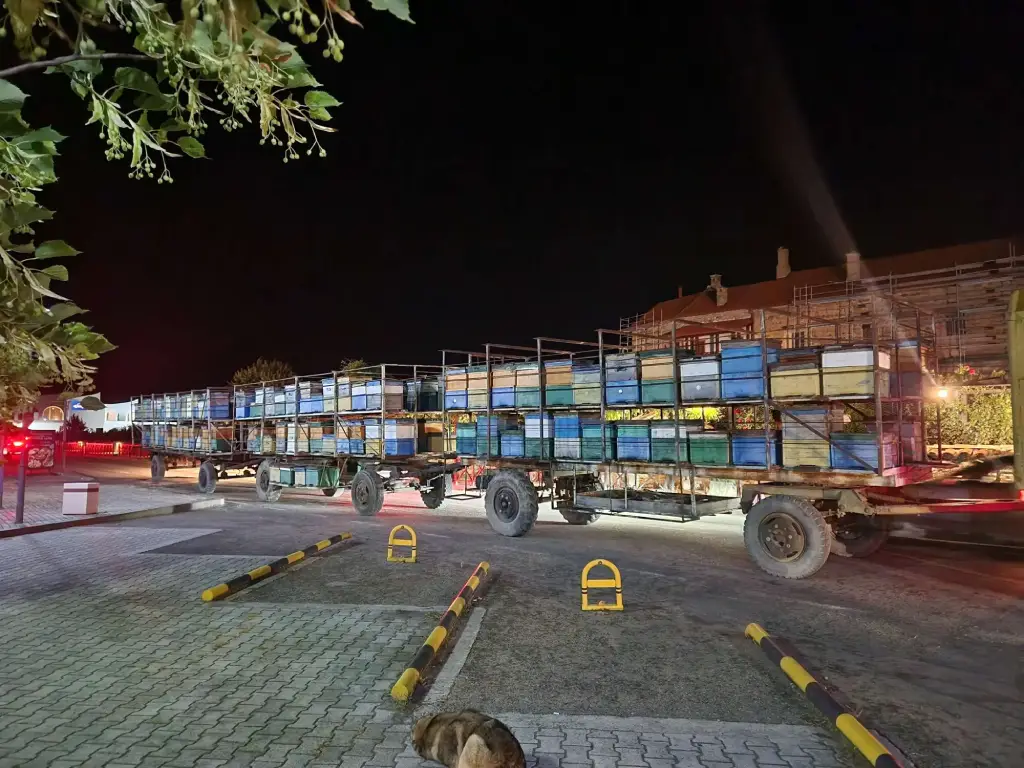 2025 წელი, თაფლის ამოღების პერიოდი.