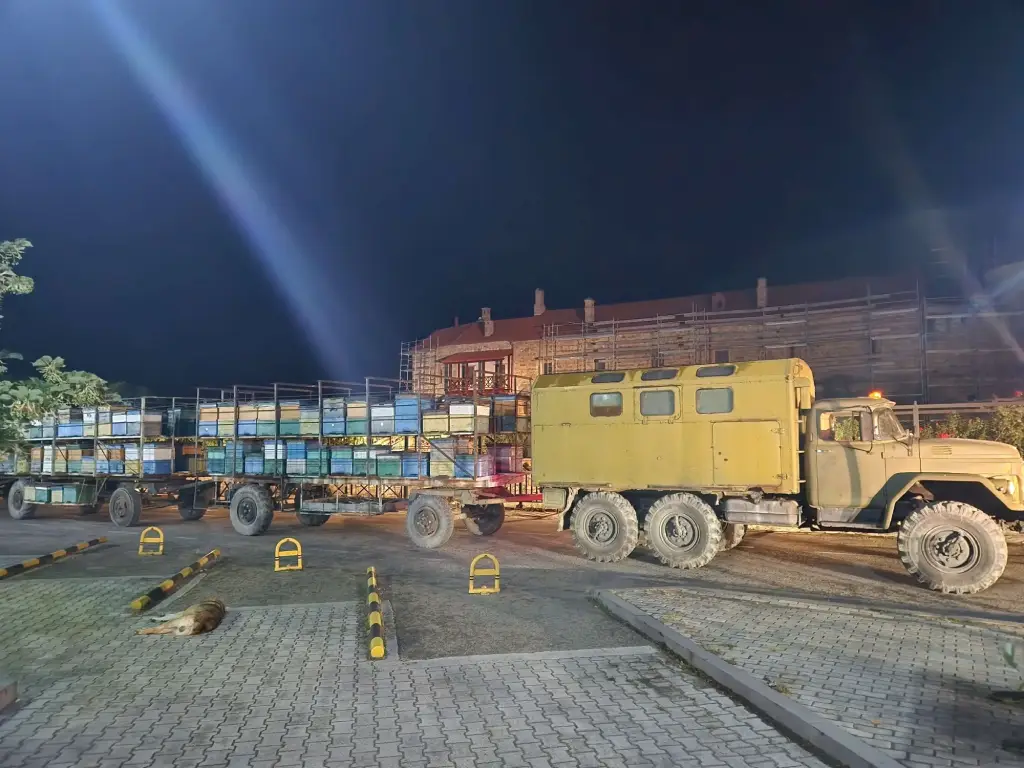 2025 წელი, თაფლის ამოღების პერიოდი.